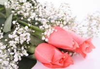 鮮花電商APP軟件的基本功能